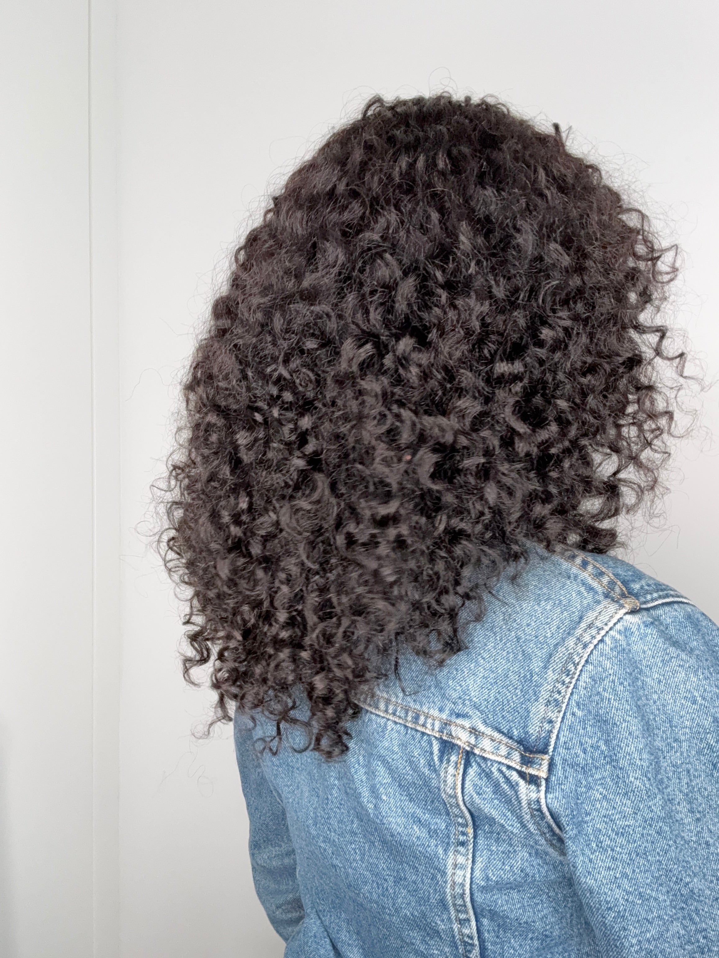 SíA ( Curly 3b ) precommande