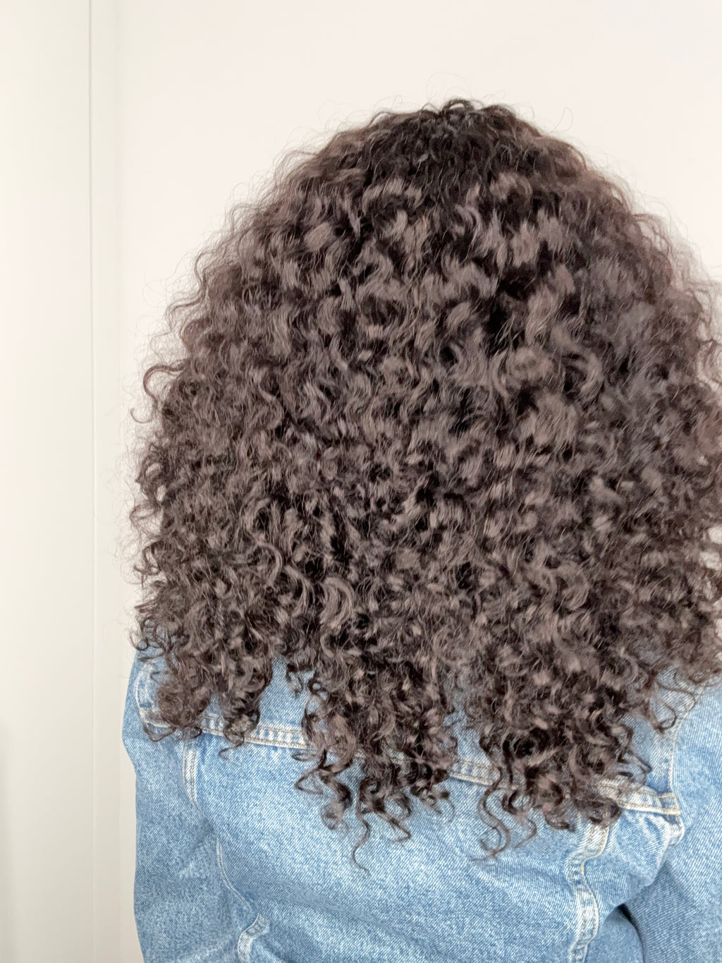 SíA ( Curly 3b ) precommande